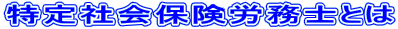 特定社会保険労務士とは